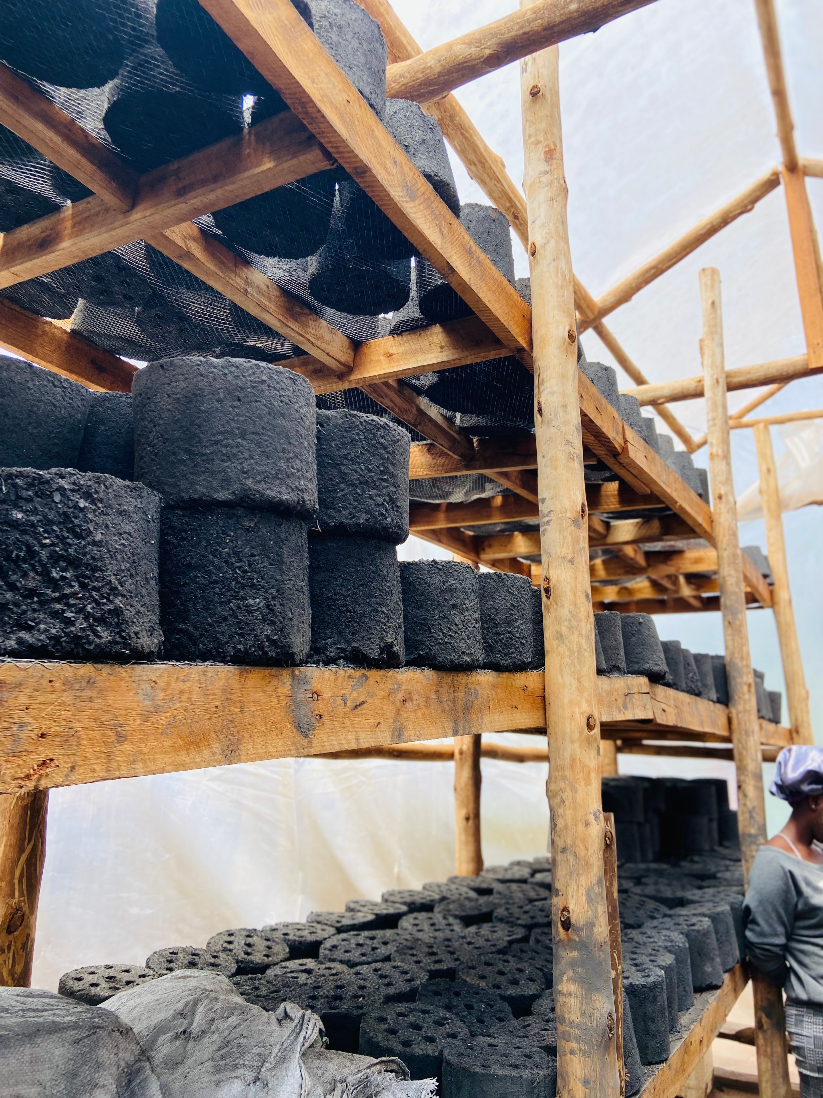 Briquettes drying in the sun