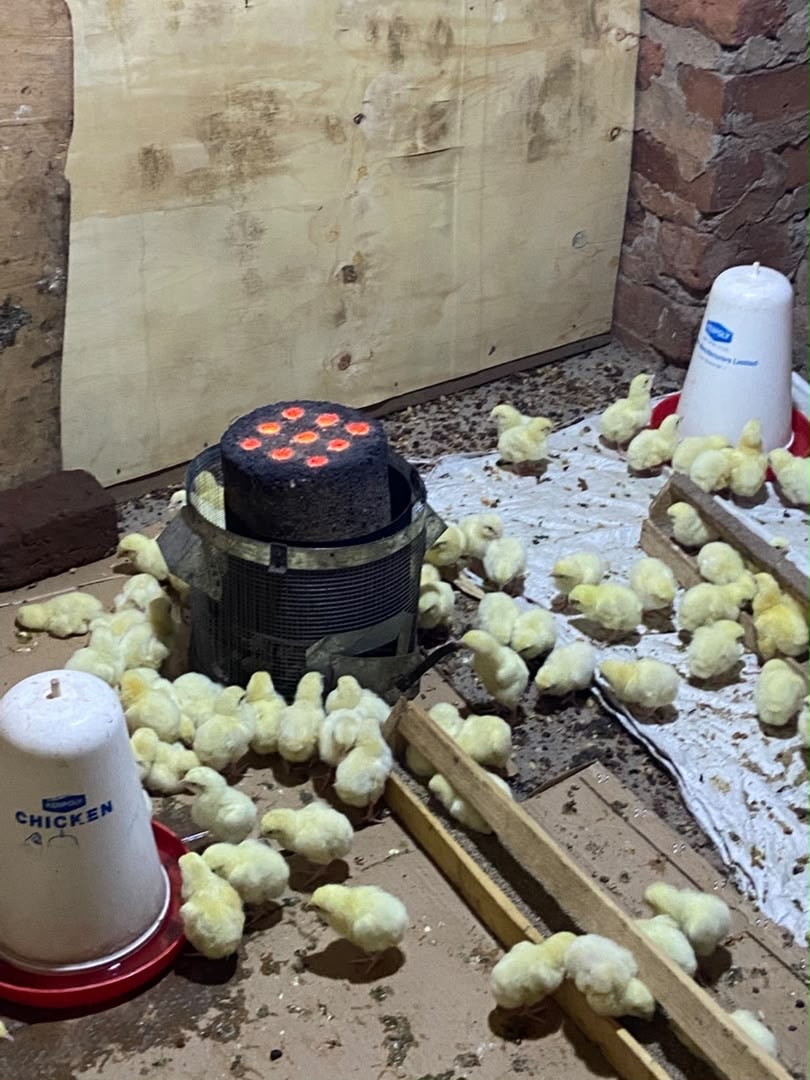 Community members with briquette production