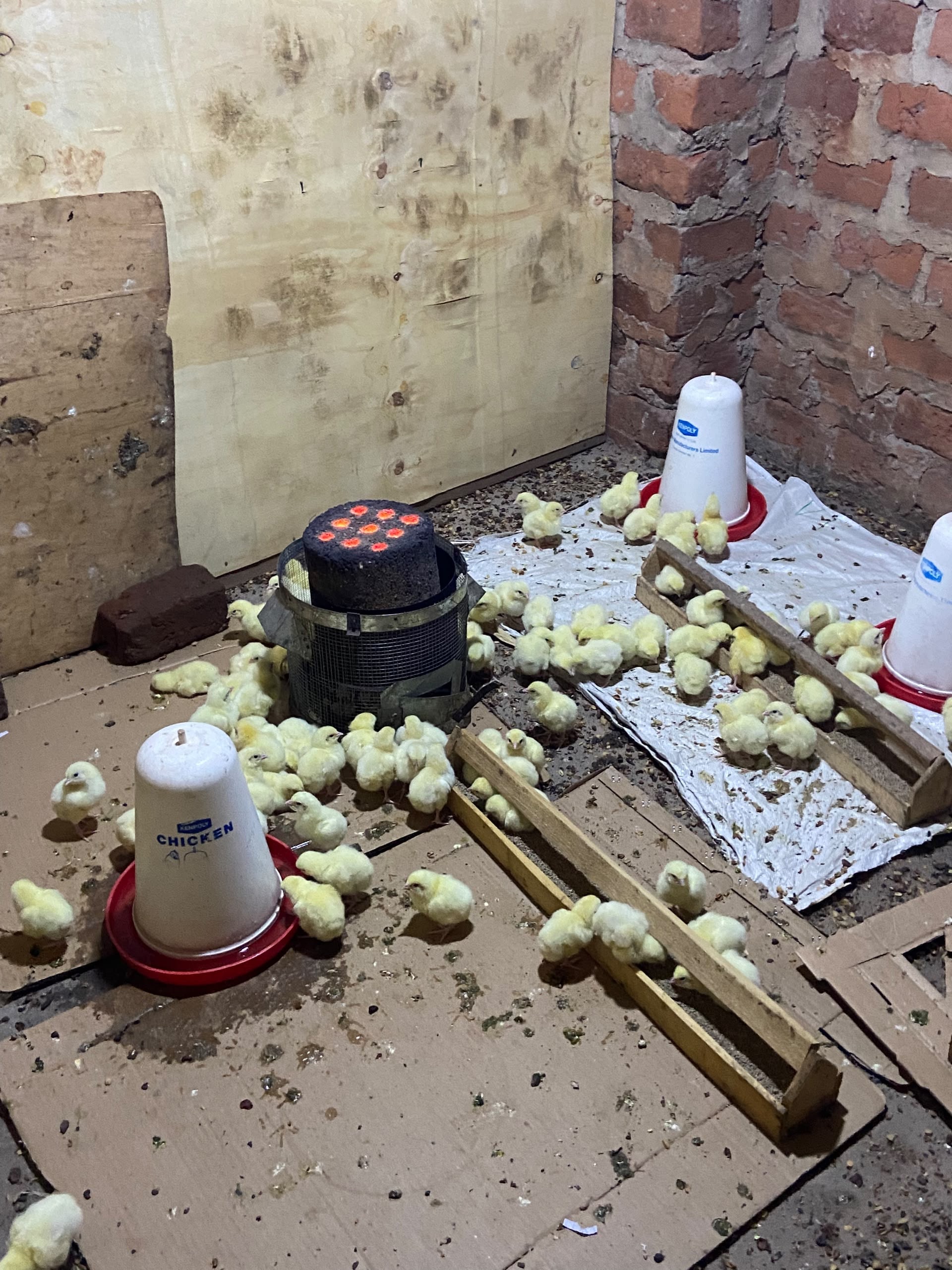 Charcoal briquette programme at the shelter