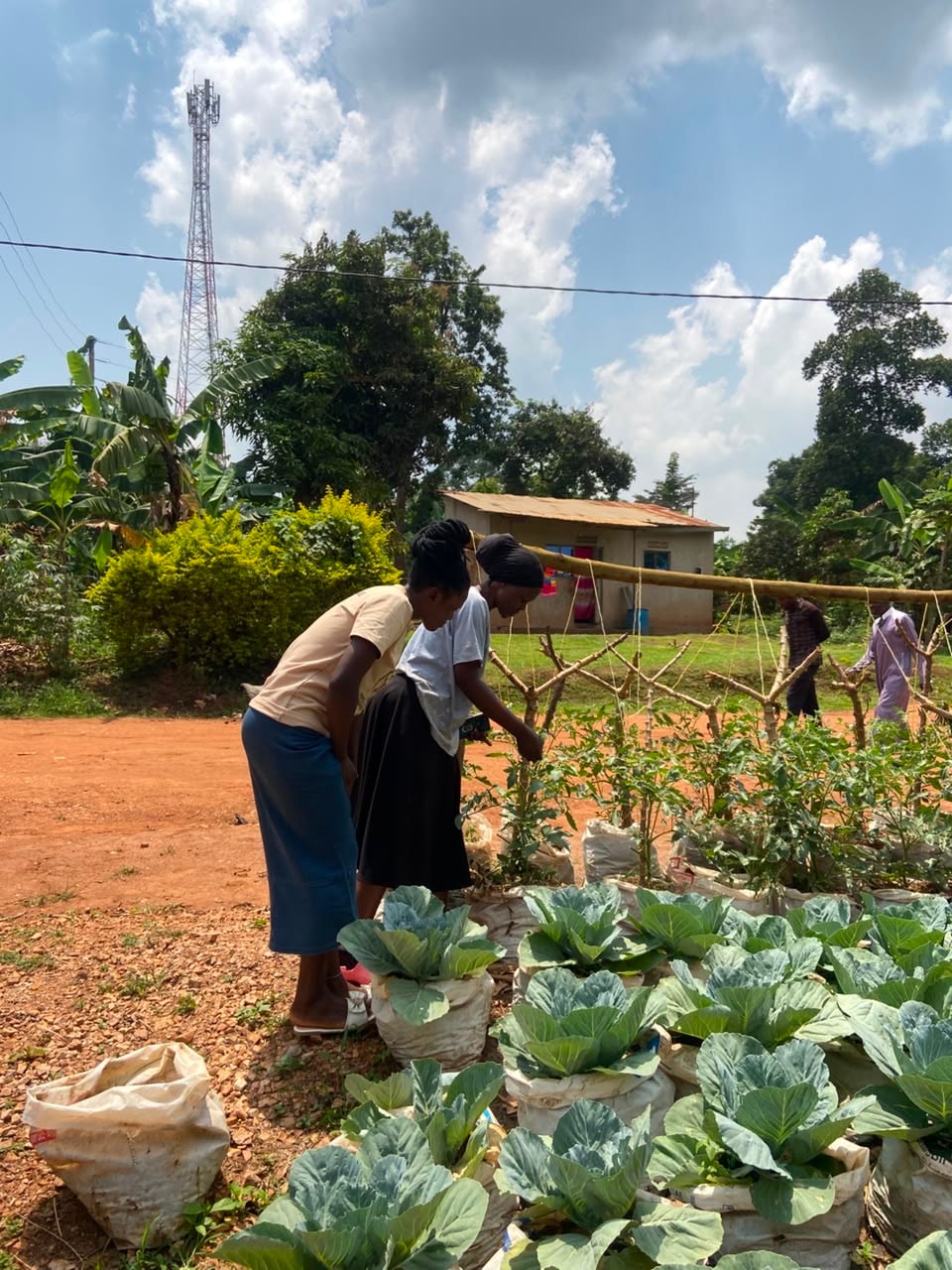 Community members learning urban farming techniques