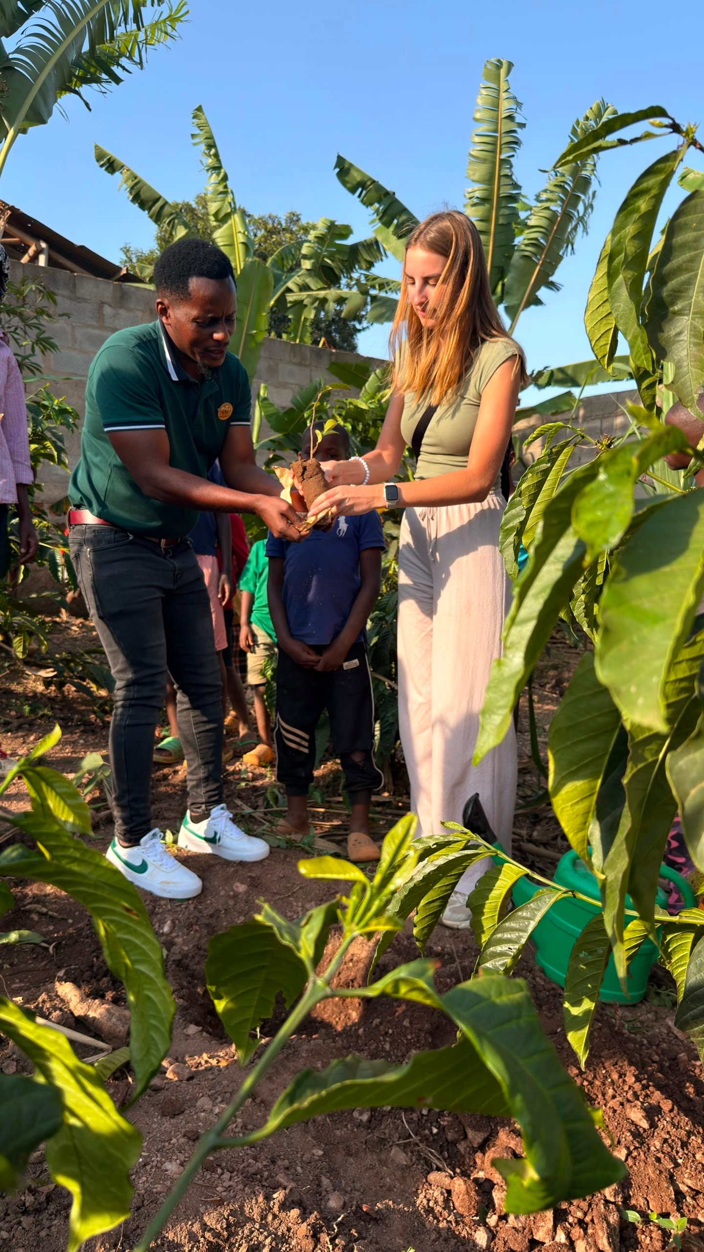 Community volunteers caring for newly planted tree seedlings